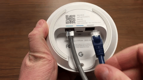 giphy1.gif