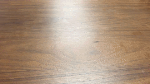 giphy2.gif
