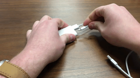 giphy4.gif